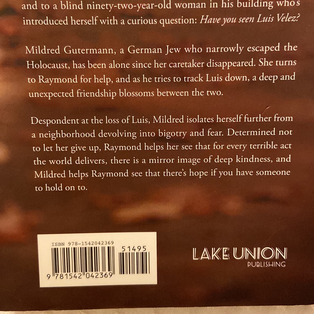 HAVE YOU SEEN LUIS VELEZ? A Novel Catherine Ryan Hyde Paperback Book - Picture 4 of 7